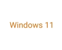 Windows 11