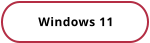 Windows 11